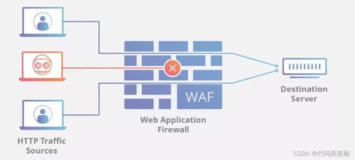 網(wǎng)絡(luò)與信息安全軟件開發(fā)中的編程語言選擇指南